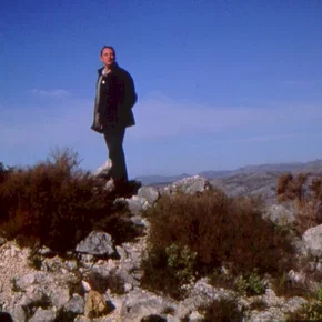 Photo du film : L'arbre aux cerises