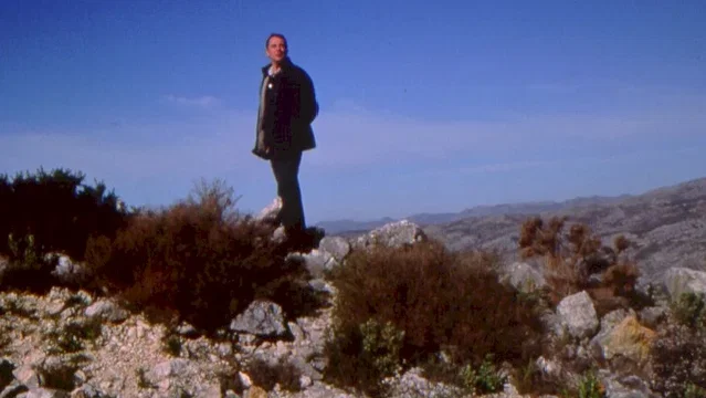 Photo 3 du film : L'arbre aux cerises