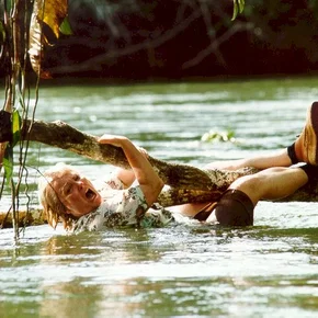 Photo du film : Le fils du francais