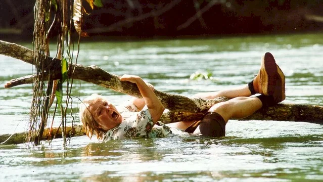 Photo 3 du film : Le fils du francais