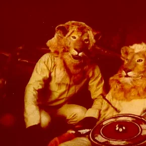 Photo du film : Terres africaines iv : contes animali