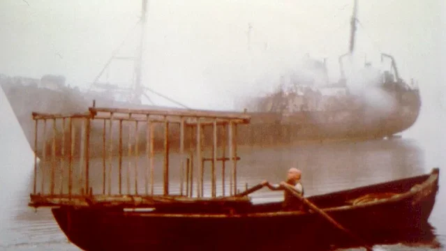 Photo 3 du film : Georgica