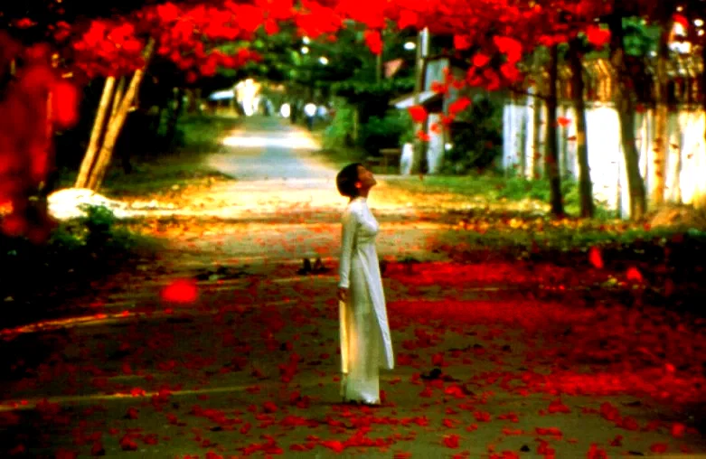 Photo 4 du film : Trois saisons