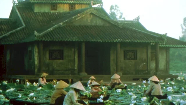 Photo 7 du film : Trois saisons