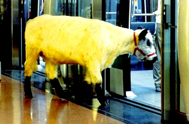 Photo 5 du film : La vache et le président