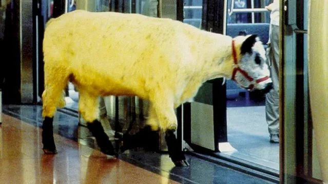 Photo du film : La vache et le président