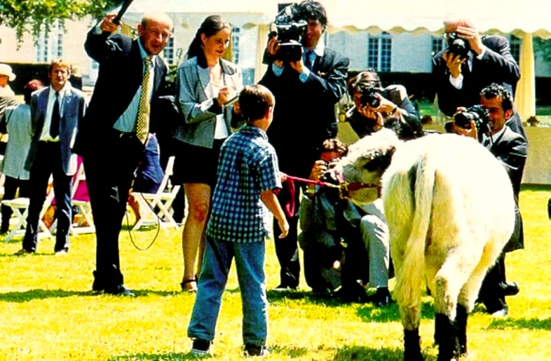 Photo 6 du film : La vache et le président