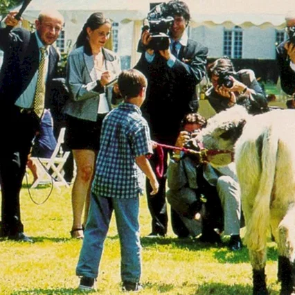 Miniature photo du film : La vache et le président