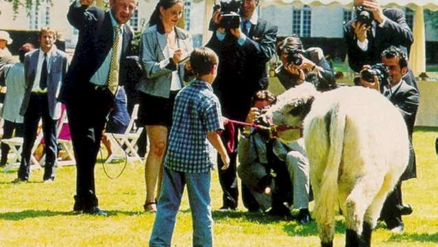 Photo du film : La vache et le président