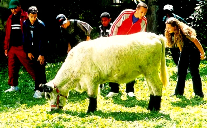 Photo 9 du film : La vache et le président