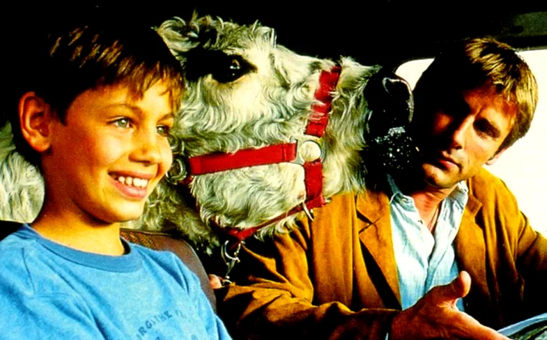 Photo 10 du film : La vache et le président