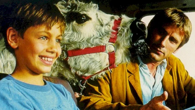 Photo du film : La vache et le président