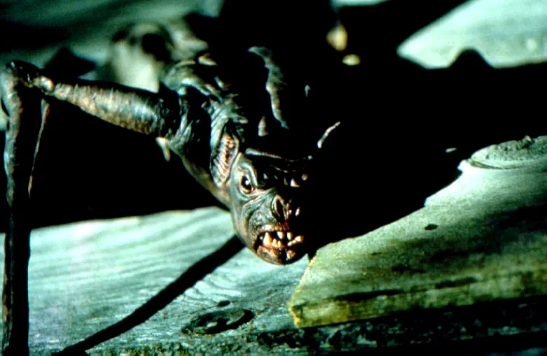 Photo du film : La nuit des chauves-souris