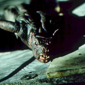 Photo du film : La nuit des chauves-souris