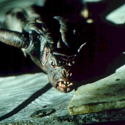 Miniature photo du film : La nuit des chauves-souris