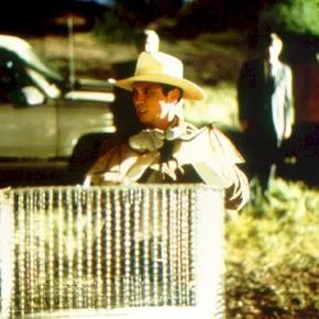 Photo du film : La nuit des chauves-souris
