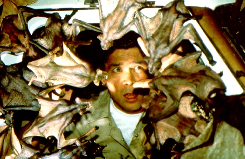 Photo du film : La nuit des chauves-souris