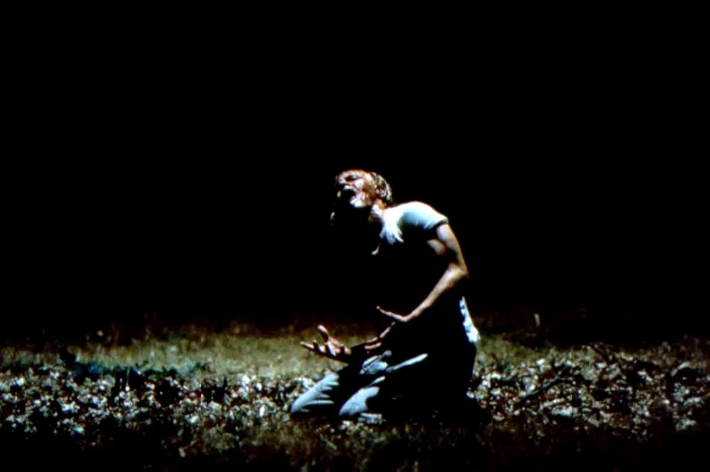 Photo 4 du film : Promenons-nous dans les bois
