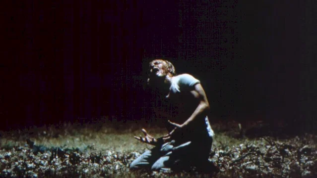 Photo du film : Promenons-nous dans les bois