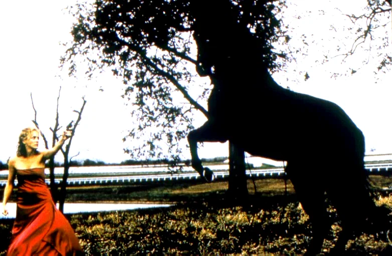 Photo 3 du film : Simpatico