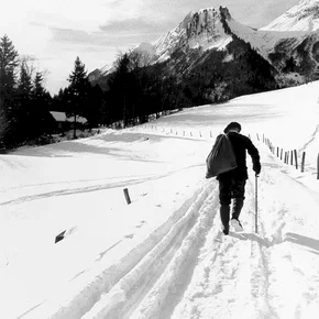 Photo du film : Les sentiers du petit bonheur
