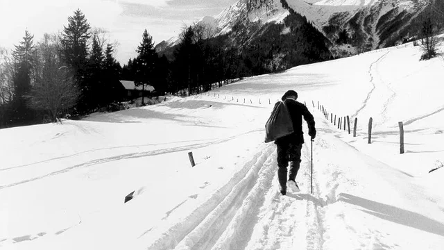 Photo 2 du film : Les sentiers du petit bonheur