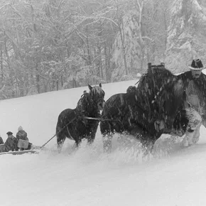Photo du film : Les sentiers du petit bonheur