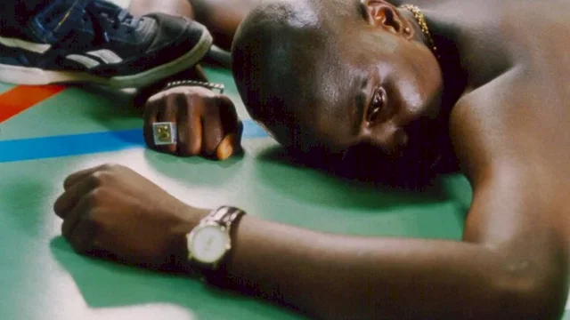 Photo 9 du film : La squale