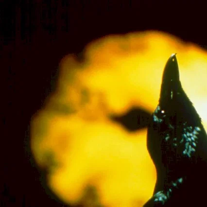 Miniature photo du film : The crow 3 (salvation)