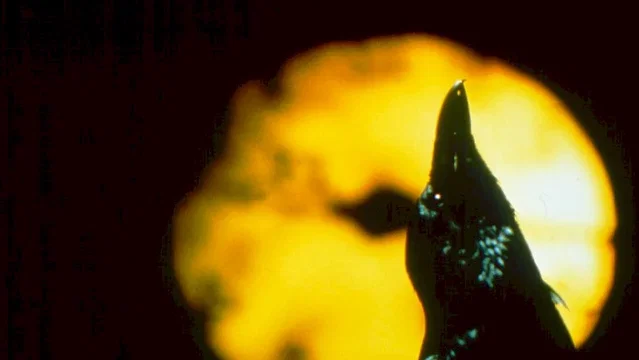 Photo du film : The crow 3 (salvation)