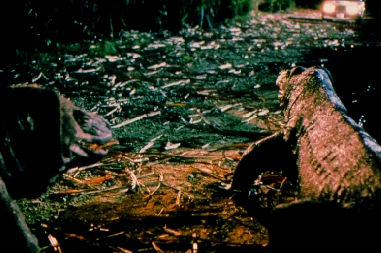 Photo 8 du film : Komodo