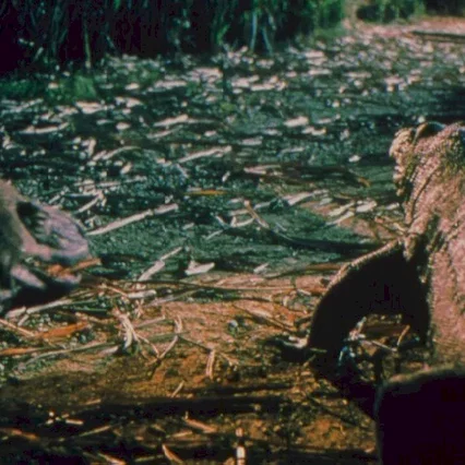 Miniature photo du film : Komodo