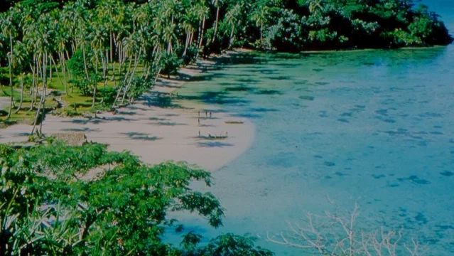 Photo 9 du film : Le prince du Pacifique