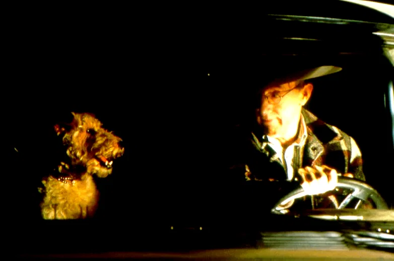 Photo 12 du film : Morceaux choisis