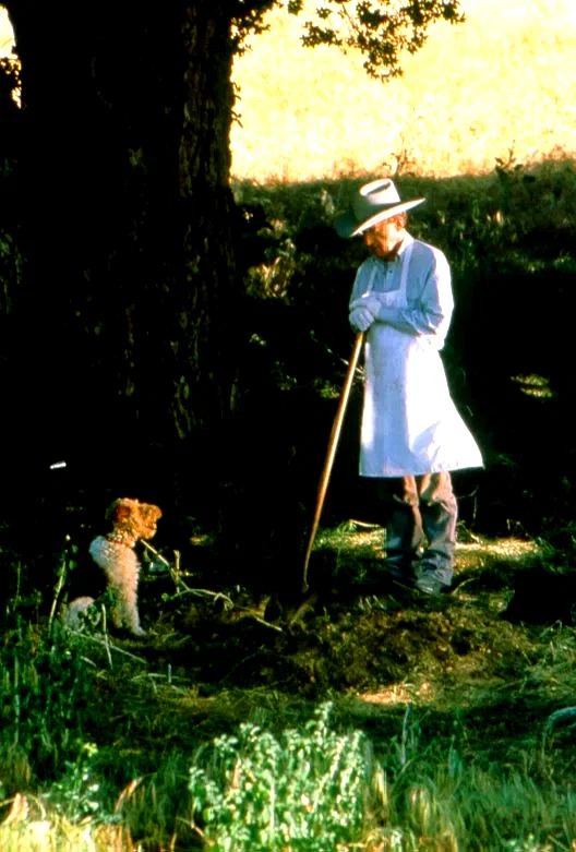 Photo 13 du film : Morceaux choisis