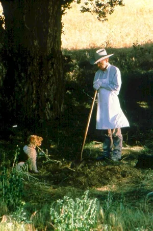 Photo du film : Morceaux choisis