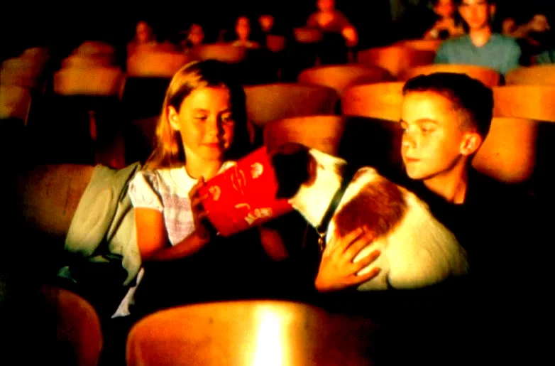 Photo 2 du film : Mon chien Skip
