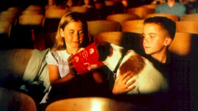 Photo 2 du film : Mon chien Skip