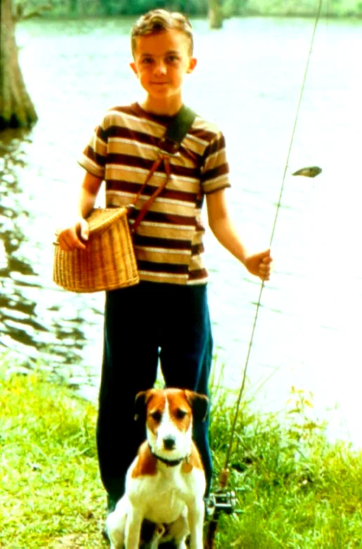 Photo 4 du film : Mon chien Skip