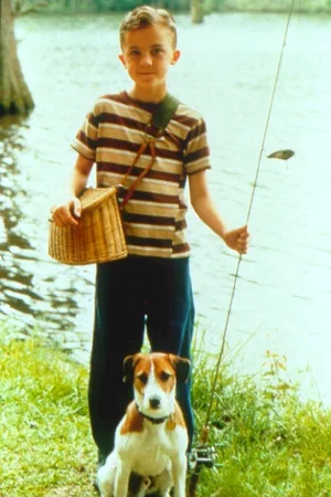 Photo 4 du film : Mon chien Skip