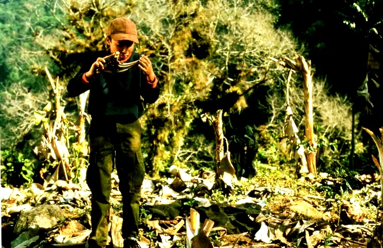 Photo 29 du film : Men with guns