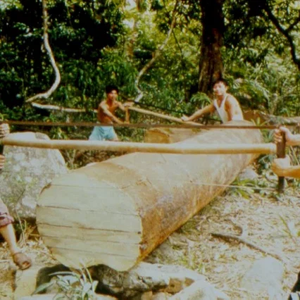 Miniature photo du film : Les coupeurs de bois