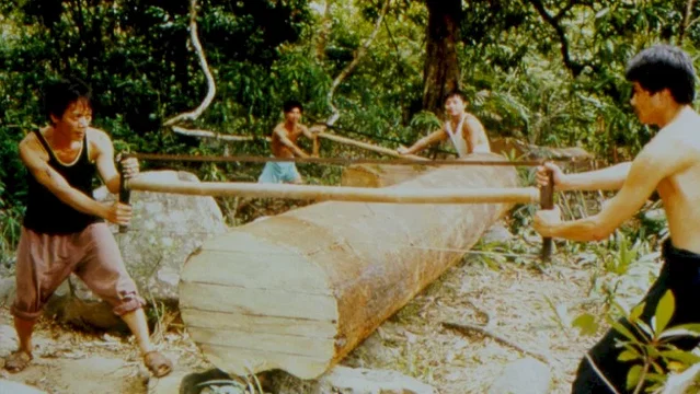 Photo 7 du film : Les coupeurs de bois