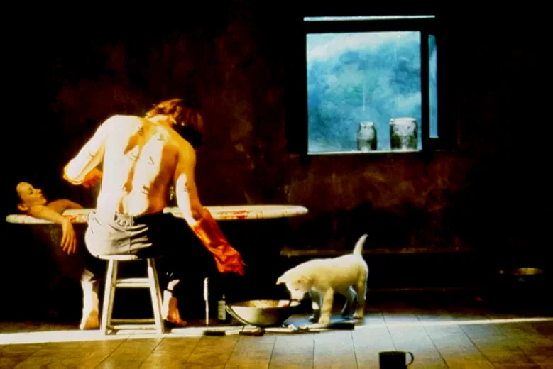 Photo du film : The Cell