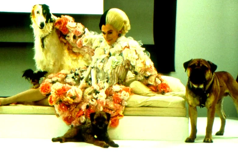Photo 5 du film : 102 dalmatiens