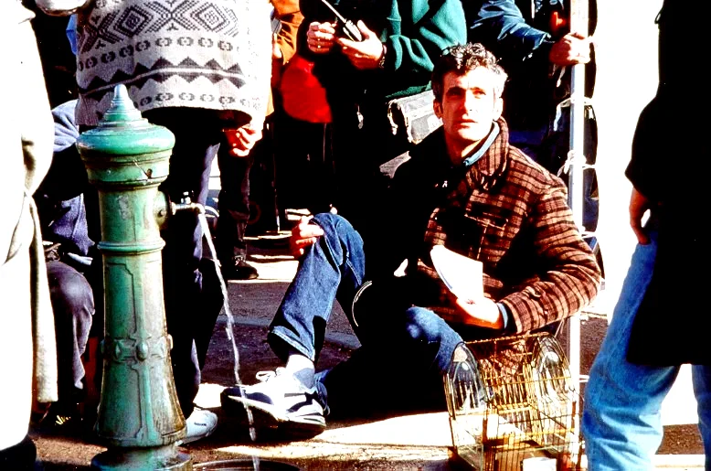 Photo 4 du film : La source jaune