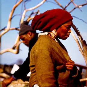 Photo du film : Boesman & lena