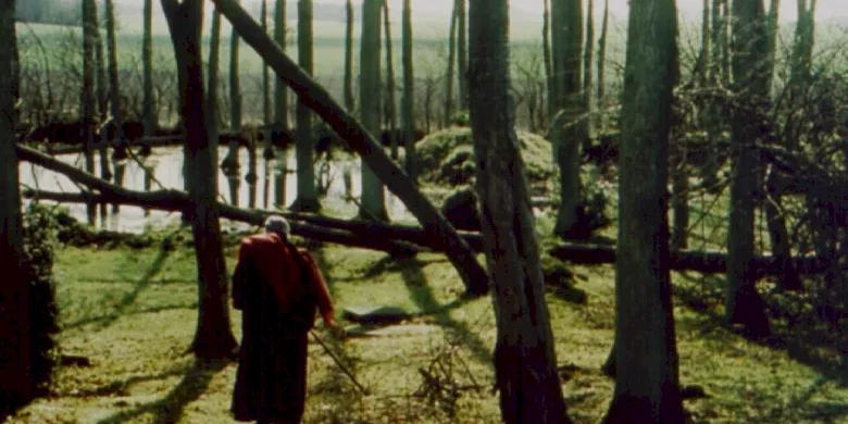 Photo 2 du film : Apres la tempête