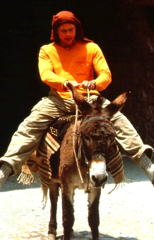 Photo 3 du film : Le mexicain