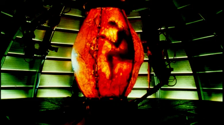 Photo 5 du film : Replicant